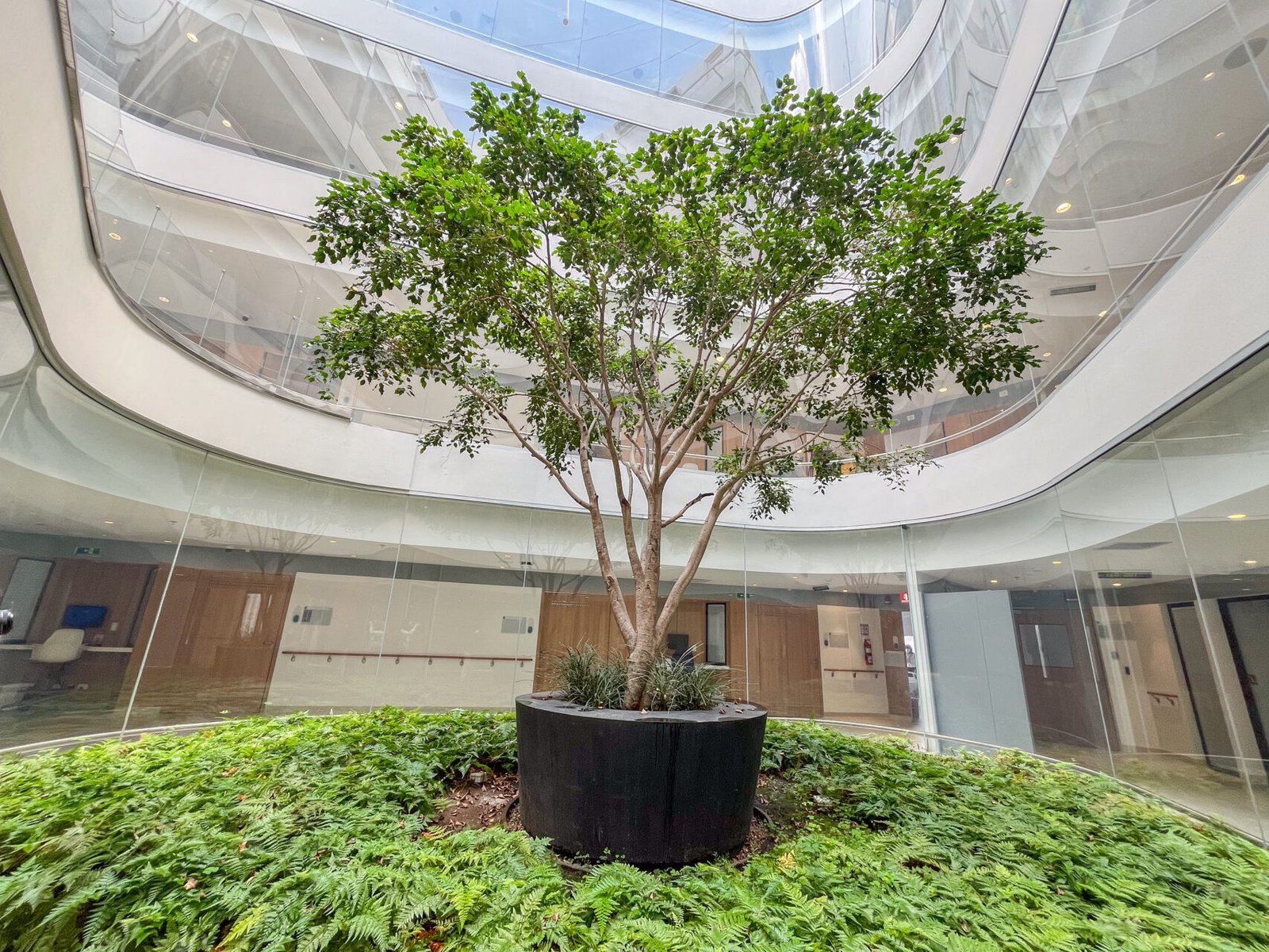 CTIC: Arquitectura, innovación y humanidad al servicio del cáncer IMG 3583