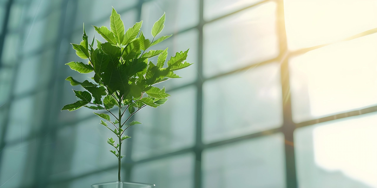 leed-la-clave-para-la-construccion-sostenible