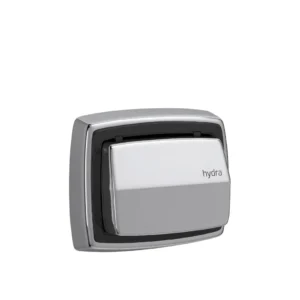 Botón de descarga cromado