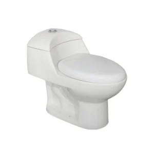 Sanitario de una pieza