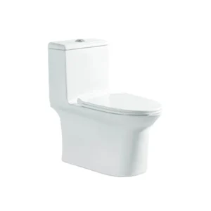 Sanitario de una pieza