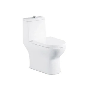 Sanitario de una pieza