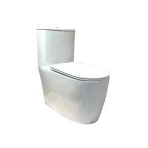 Sanitario de doble descarga