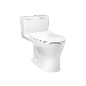 Sanitario de doble descarga