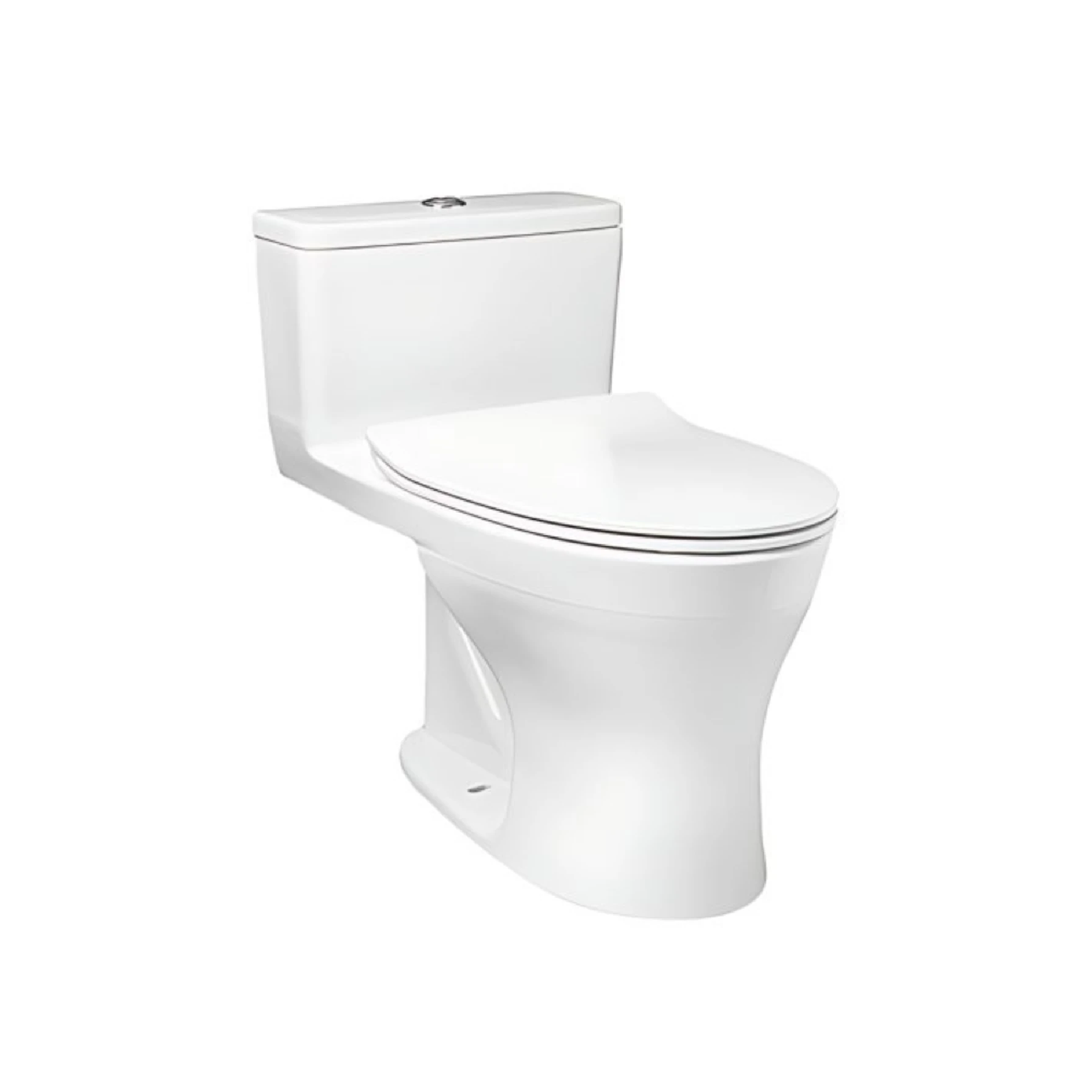 Sanitario de doble descarga