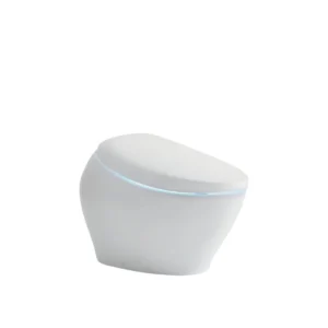 Sanitario inteligente