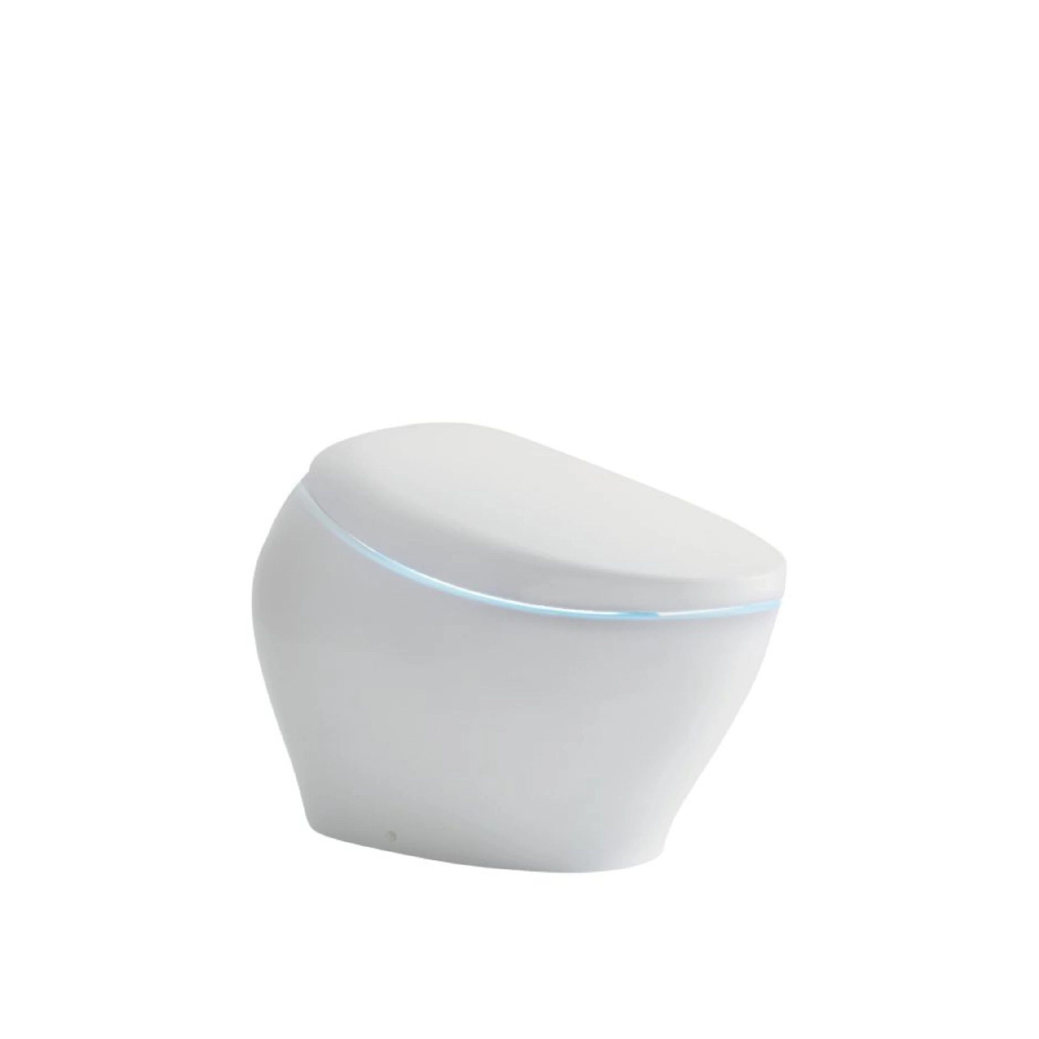 Sanitario inteligente