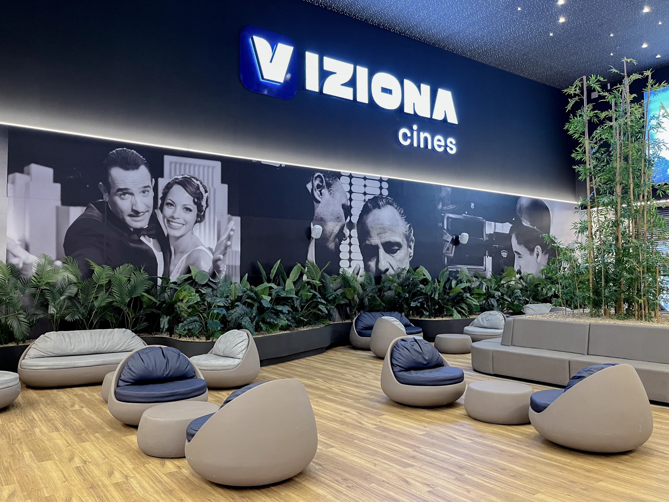 Proyectos Cine Viziona