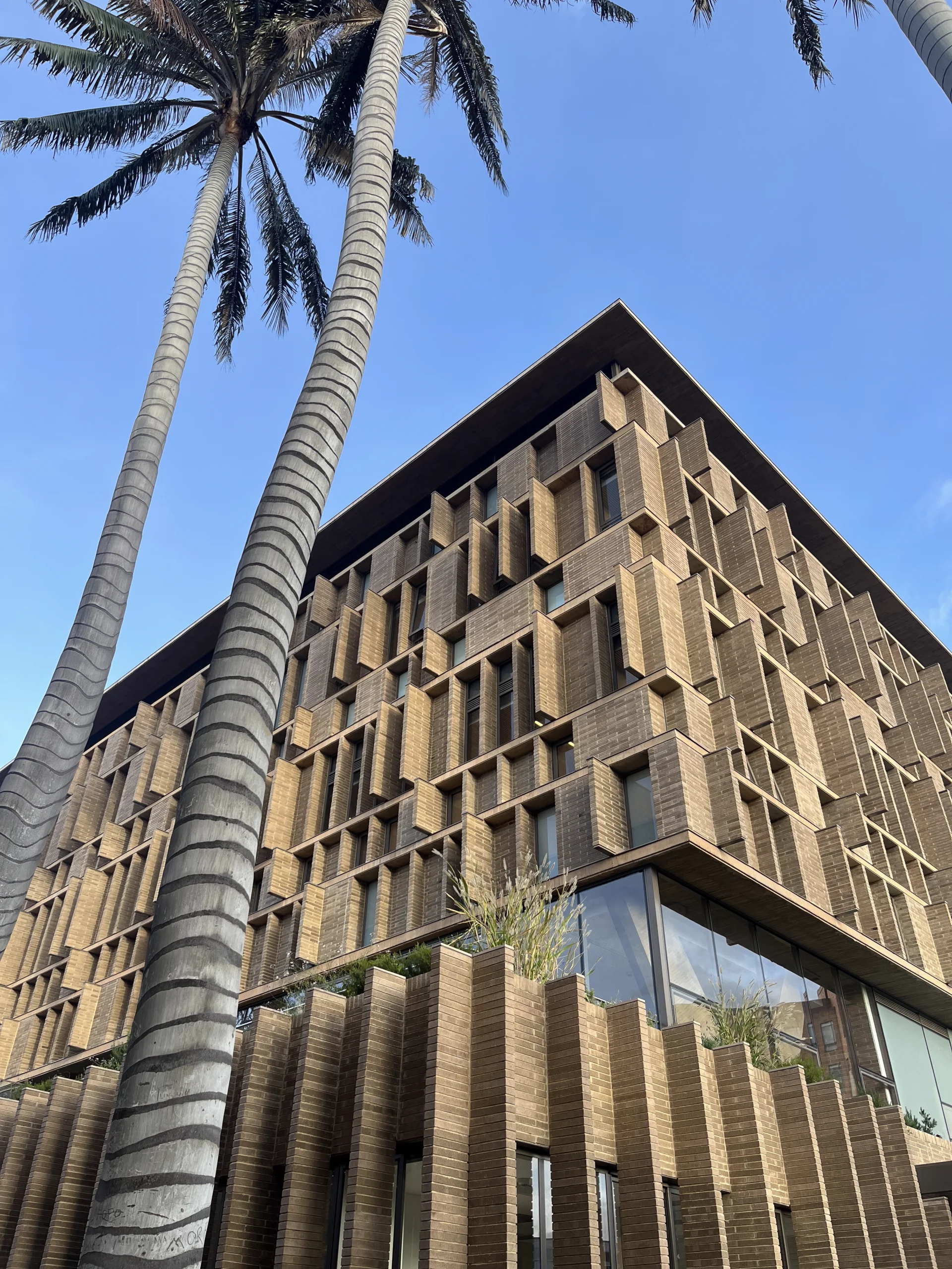 Proyectos Colegio Anglo Colombiano