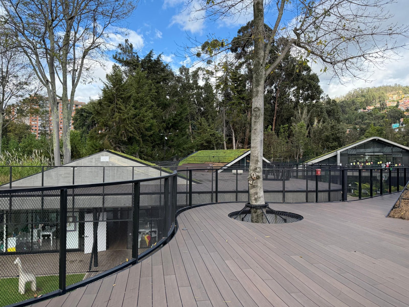 Imagen de WhatsApp 2025-12-01 a las 11.02.52_44683712