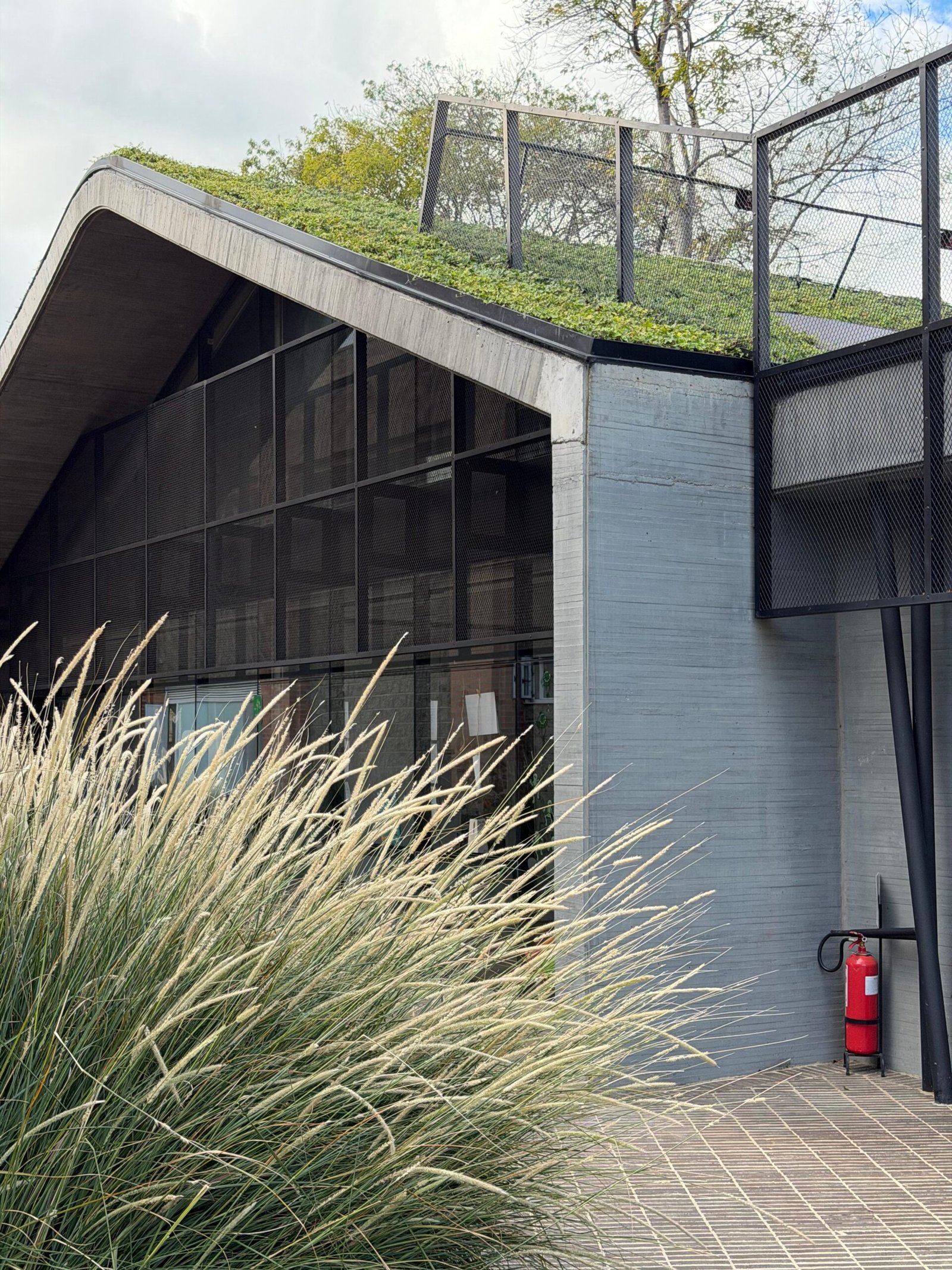 Imagen de WhatsApp 2025-12-01 a las 11.03.03_596fad84